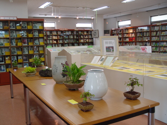 DSC07196-1.JPG
