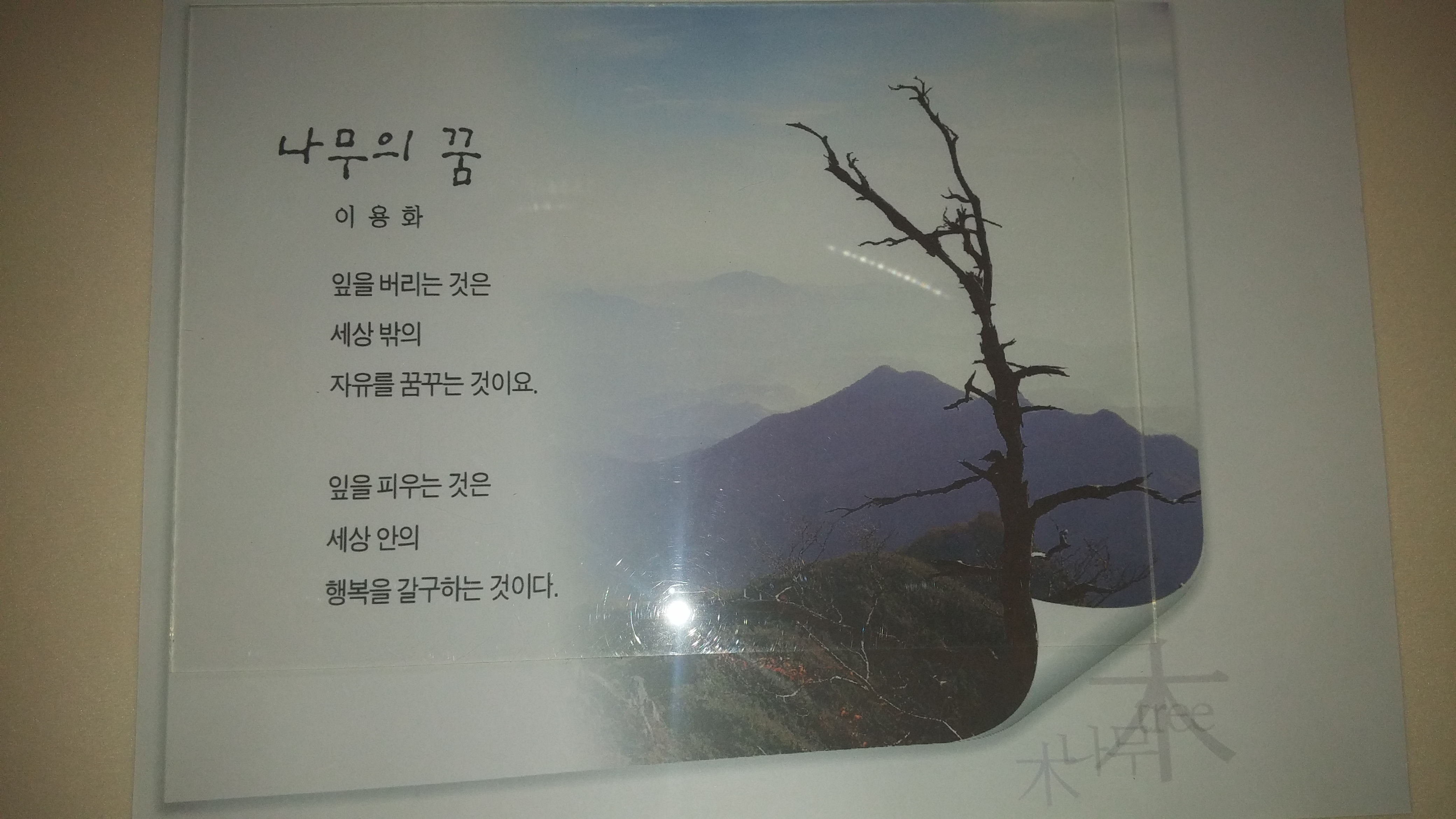 기획전2.jpg