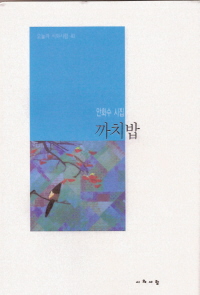 까치밥-안화수2.jpg