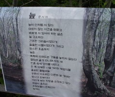 제10회 시예술제-시, 늪을 만나다 (2013년 6월8일)