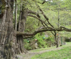 찾아가는 문학기행